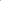 CARNATION